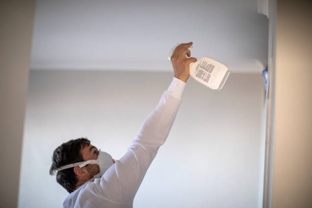 Best Mold Testing and Inspection Services in Central Point, OR